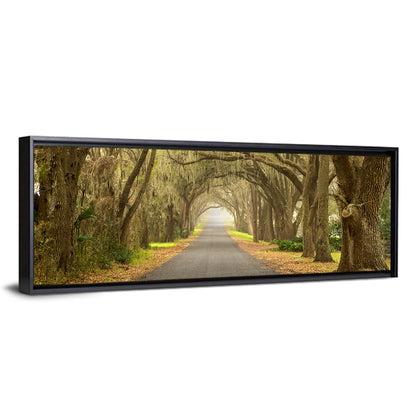 Spanish Moss Country Road Wall Art