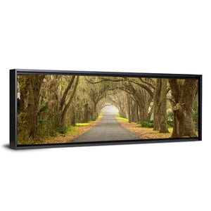 Spanish Moss Countryside Road Wall Art