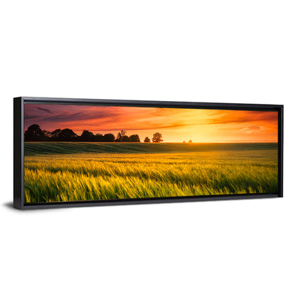 Wheat Field at Golden Hour Wall Art