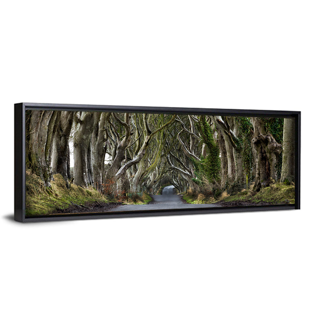 Dark Hedges Tree Tunnel Wall Art