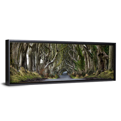 Dark Hedges Tree Tunnel Wall Art