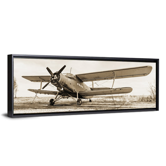 Vintage Biplane Closeup Wall Art