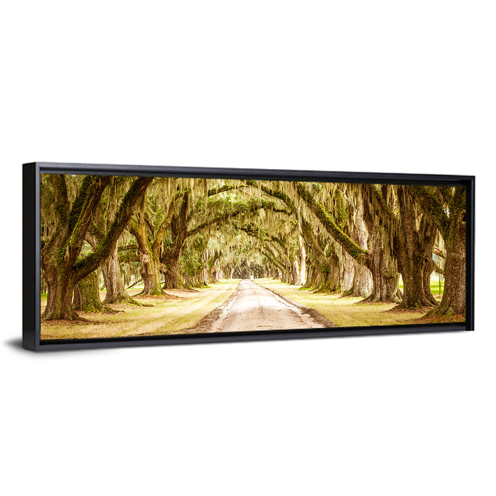 Oak Pathway Under Spanish Moss Wall Art