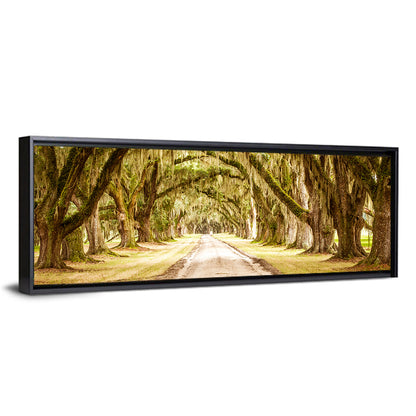 Oak Pathway Under Spanish Moss Wall Art