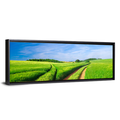 Summer Meadow with Dirt Path Wall Art