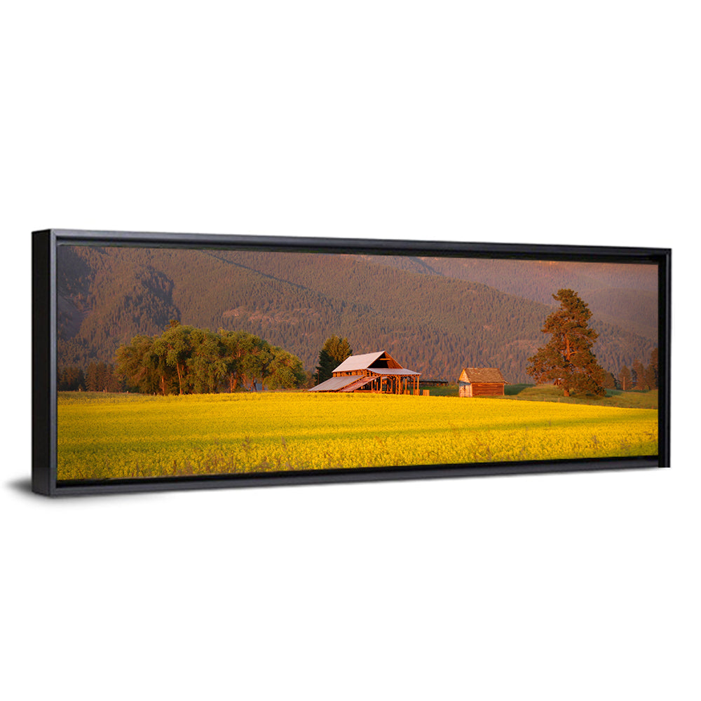 Rapeseed Field and Barn at Golden Hour Wall Art
