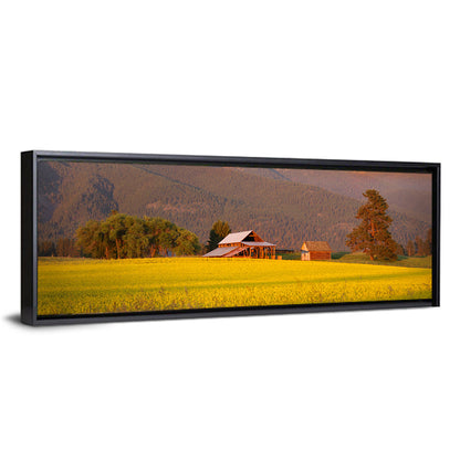 Rapeseed Field and Barn at Golden Hour Wall Art