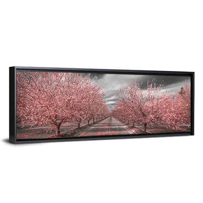 California Orchard Pink Blossoms Wall Art