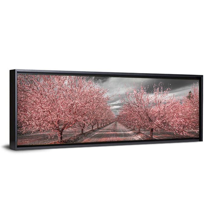 California Orchard Pink Blossoms Wall Art as a framed canvas