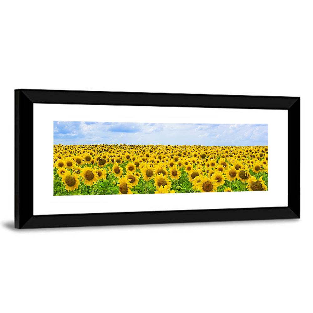 Sunflower Field Under Blue Sky Wall Art