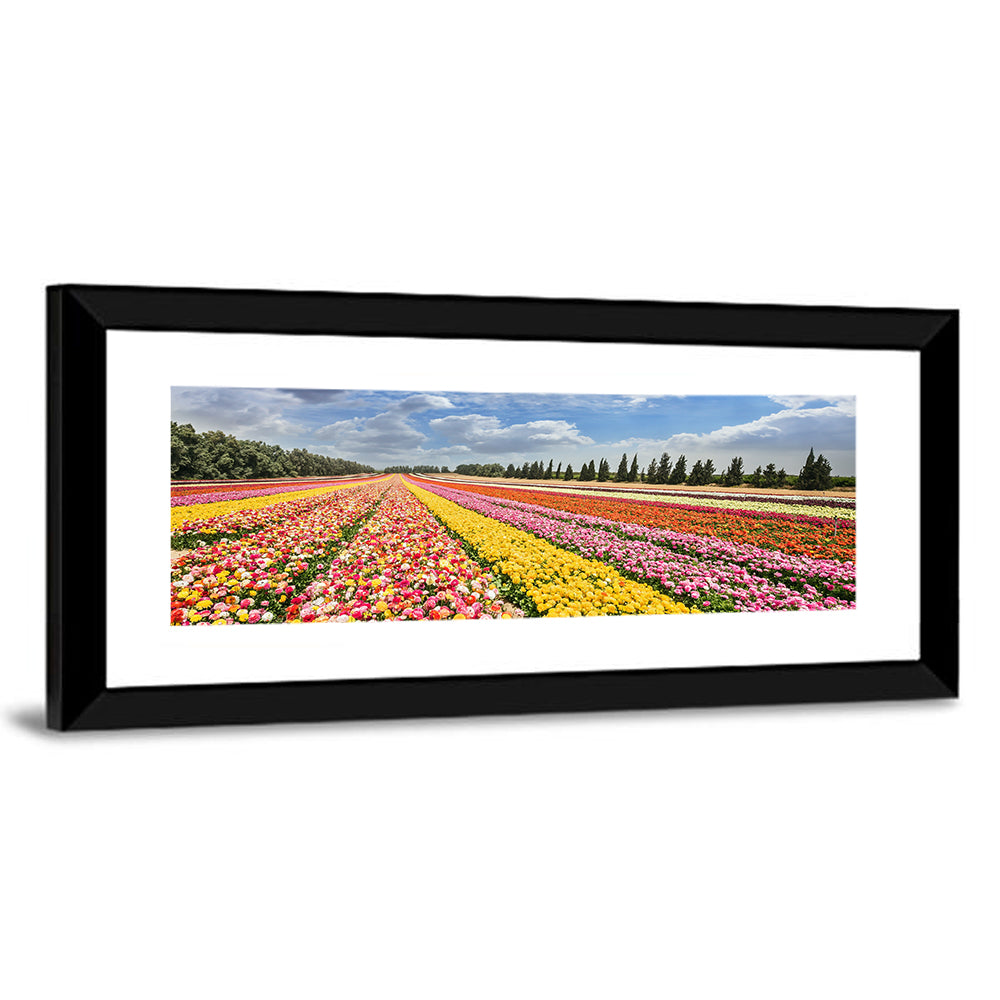 Spring Buttercup Field Wall Art