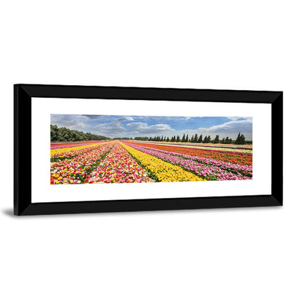 Spring Buttercup Field Wall Art