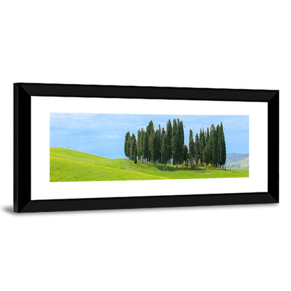 Tuscany Cypress Trees Wall Art