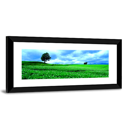 Biei Hill with Lone Tree, Hokkaido Wall Art
