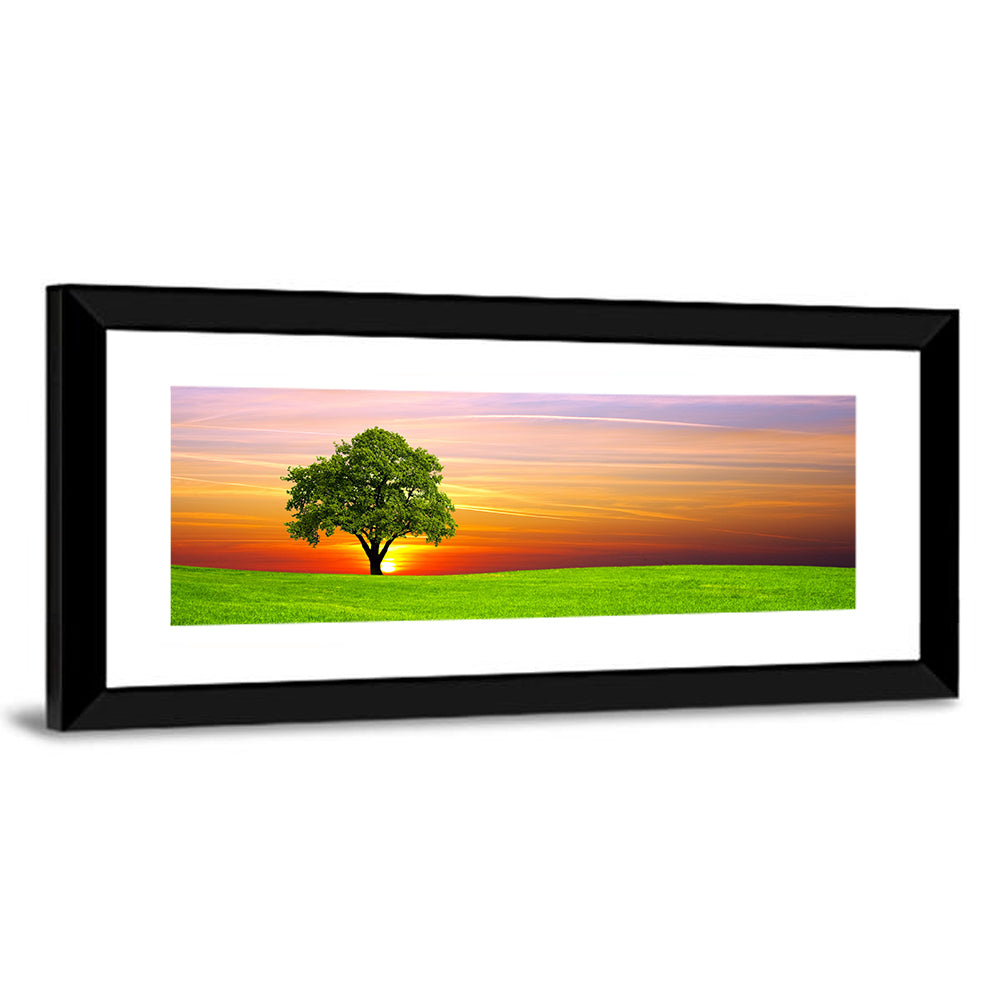 Lone Tree at Sunset Wall Art