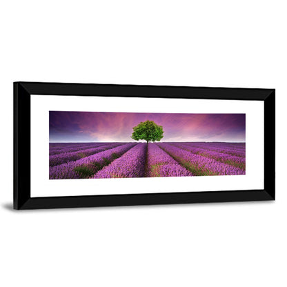 Lavender Field at Sunset Wall Art