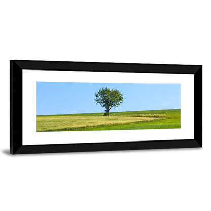 Solitary Tree on Rolling Meadow Wall Art