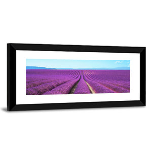 Lavender Flower Fields Wall Art