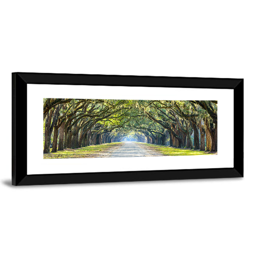 Savannah Oak Tree Pathway Wall Art