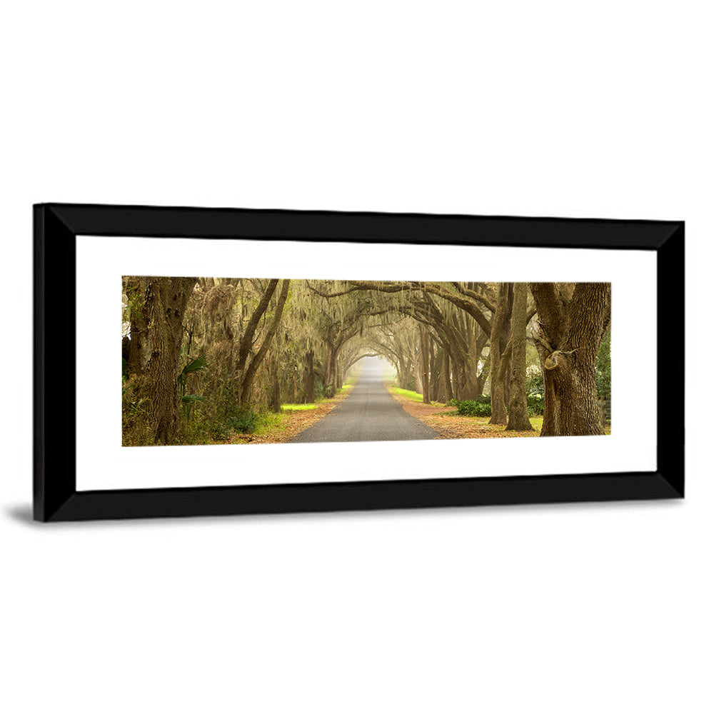 Spanish Moss Country Road Wall Art