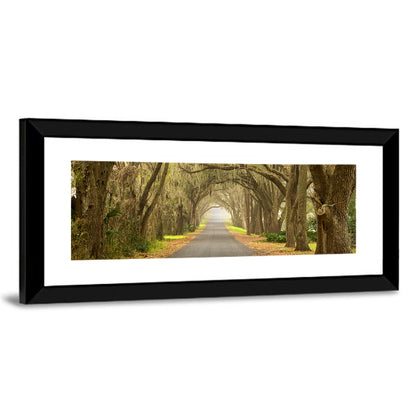 Spanish Moss Country Road Wall Art