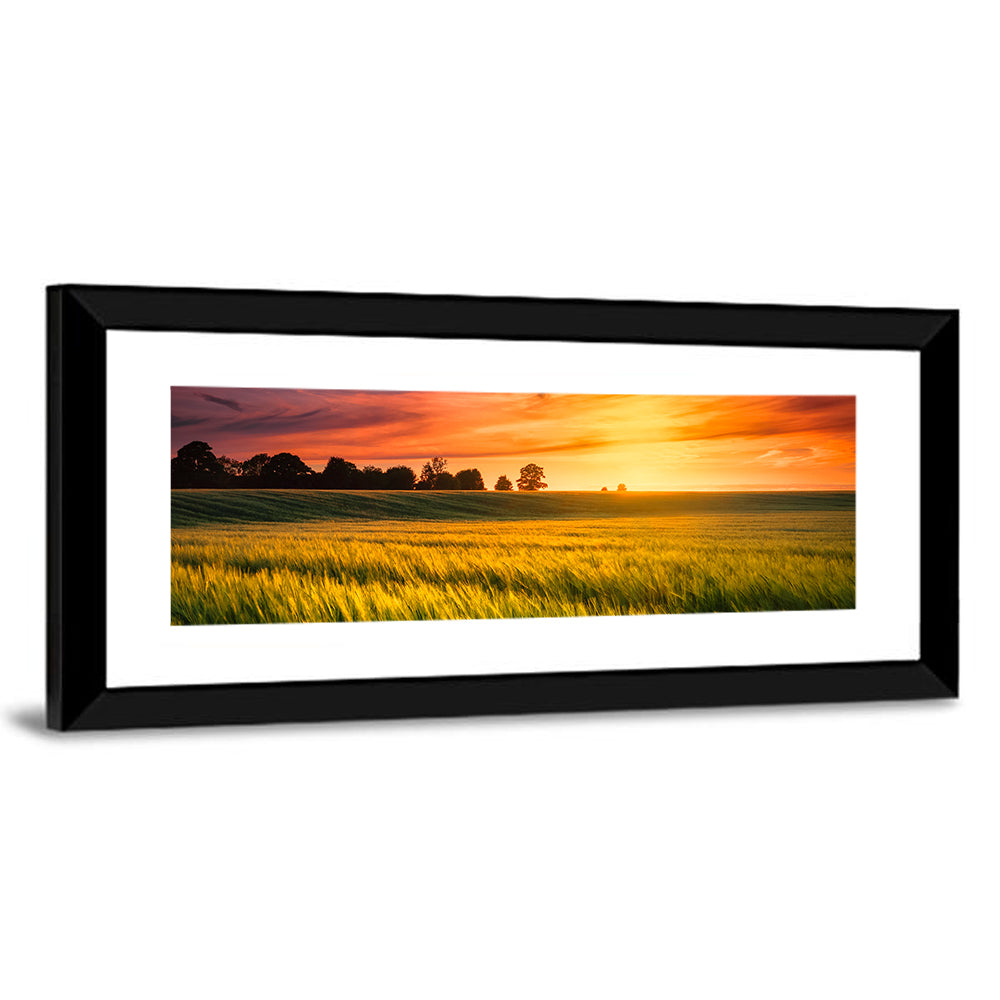 Wheat Field at Golden Hour Wall Art