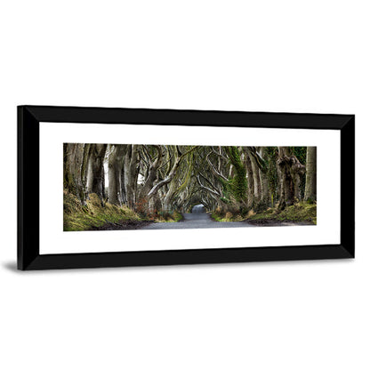 Dark Hedges Tree Tunnel Wall Art