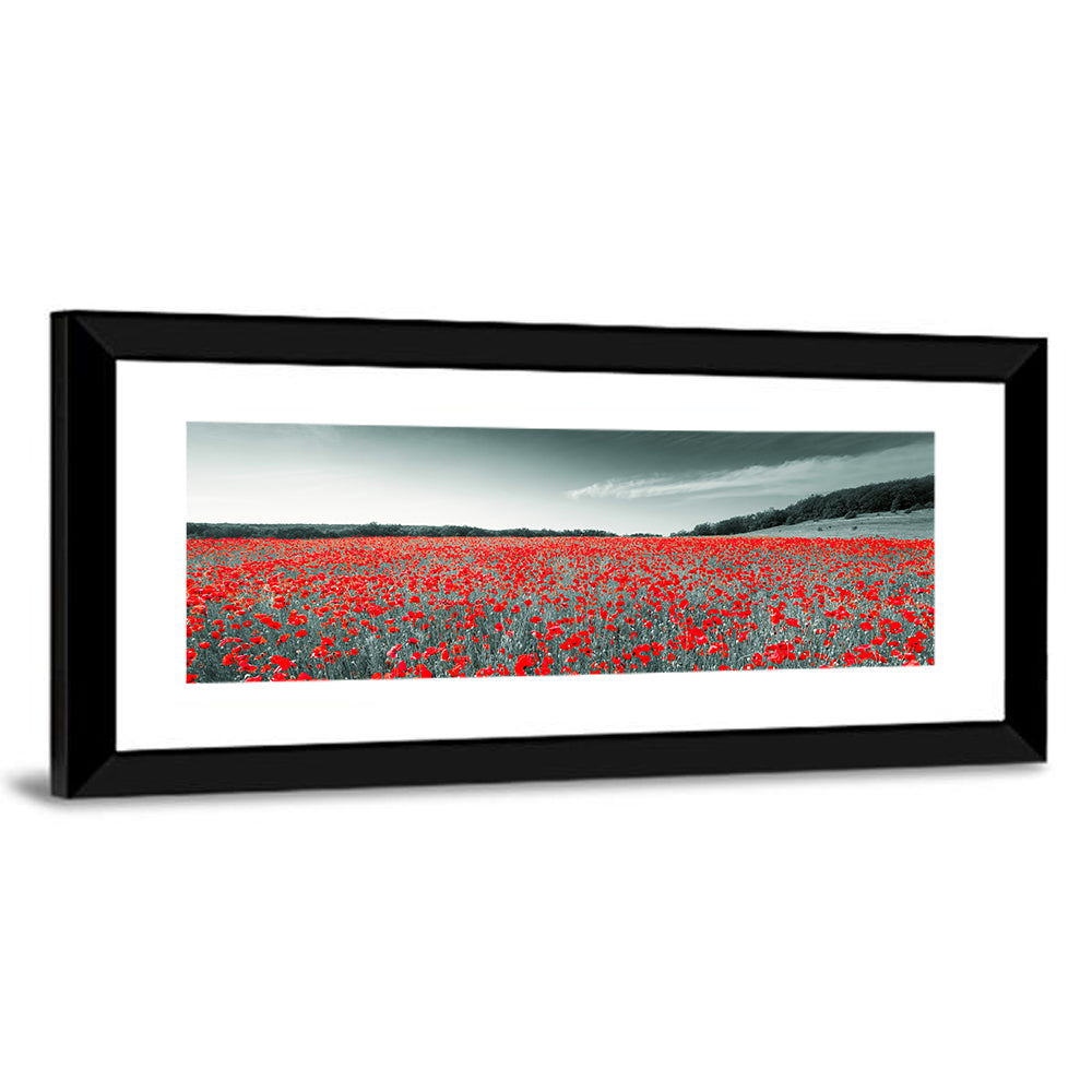 Red Poppy Field Wall Art