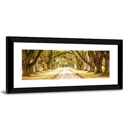 Oak Pathway Under Spanish Moss Wall Art