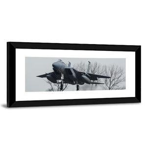 USAF F-15 Eagle Jet Wall Art