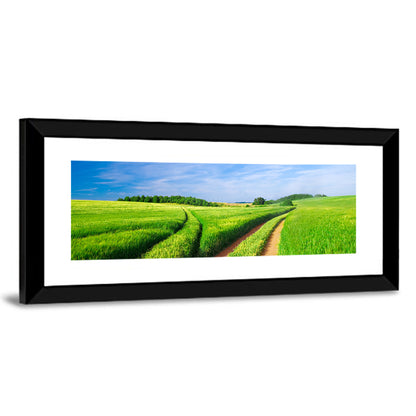 Summer Meadow with Dirt Path Wall Art