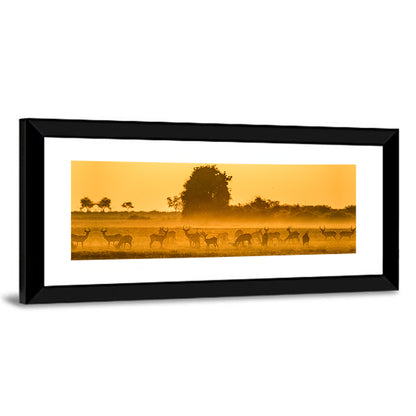 Antelope Herd at Golden Hour Wall Art