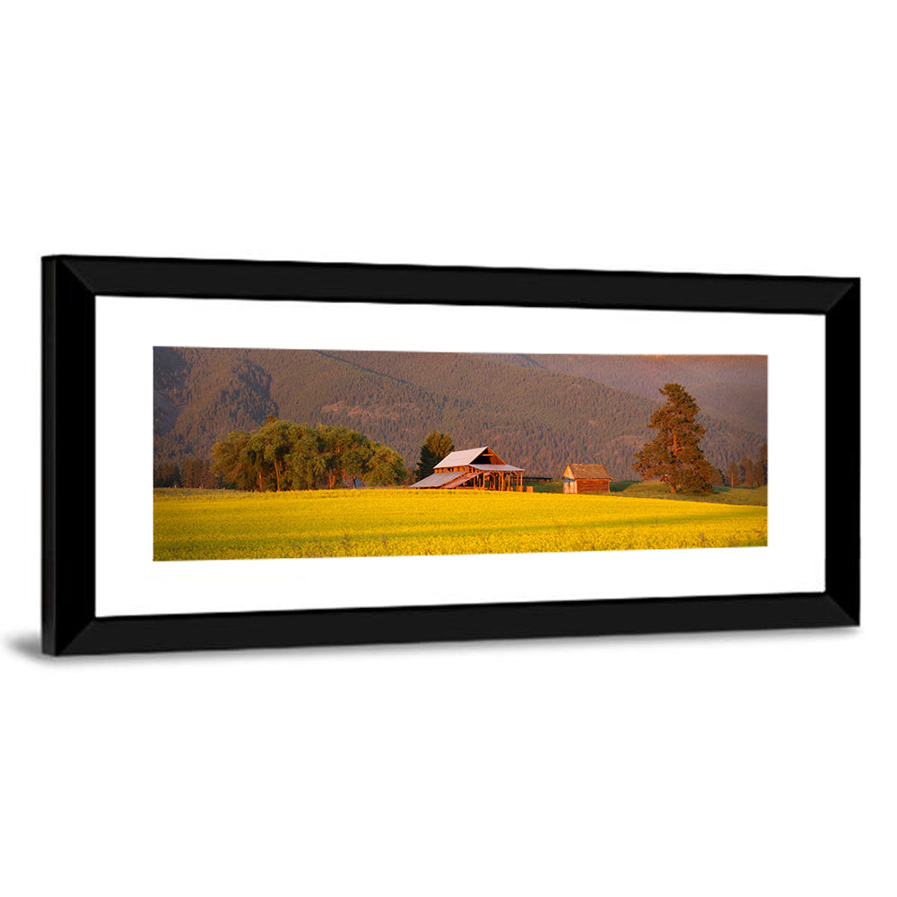 Rapeseed Field and Barn at Golden Hour Wall Art