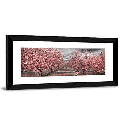 California Orchard Pink Blossoms Wall Art