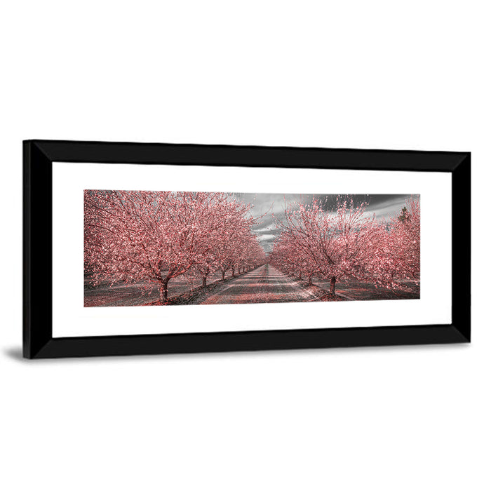 California Orchard Pink Blossoms Wall Art as a framed print