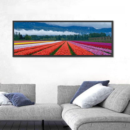 Tulip Festival In Chilliwack Wall Art