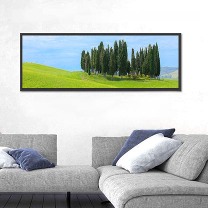 Tuscany Cypress Trees Wall Art