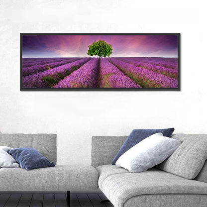Lavender Field at Sunset Wall Art