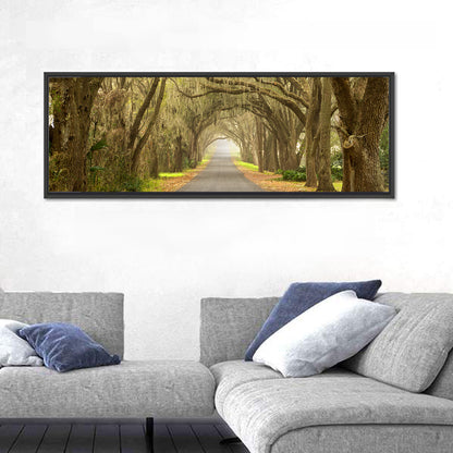 Spanish Moss Country Road Wall Art