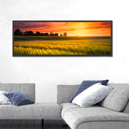 Wheat Field at Golden Hour Wall Art
