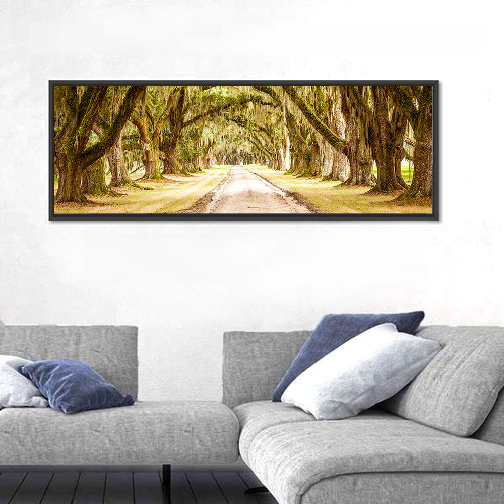 Oak Pathway Under Spanish Moss Wall Art