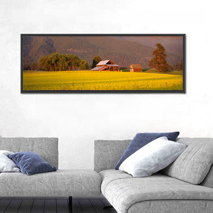 Rapeseed Field and Barn at Golden Hour Wall Art