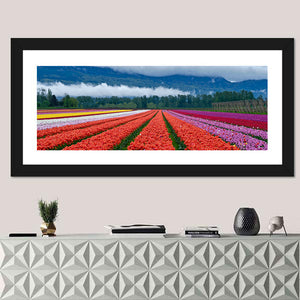 Tulip Festival In Chilliwack Wall Art