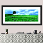 Biei Hill with Lone Tree, Hokkaido Wall Art