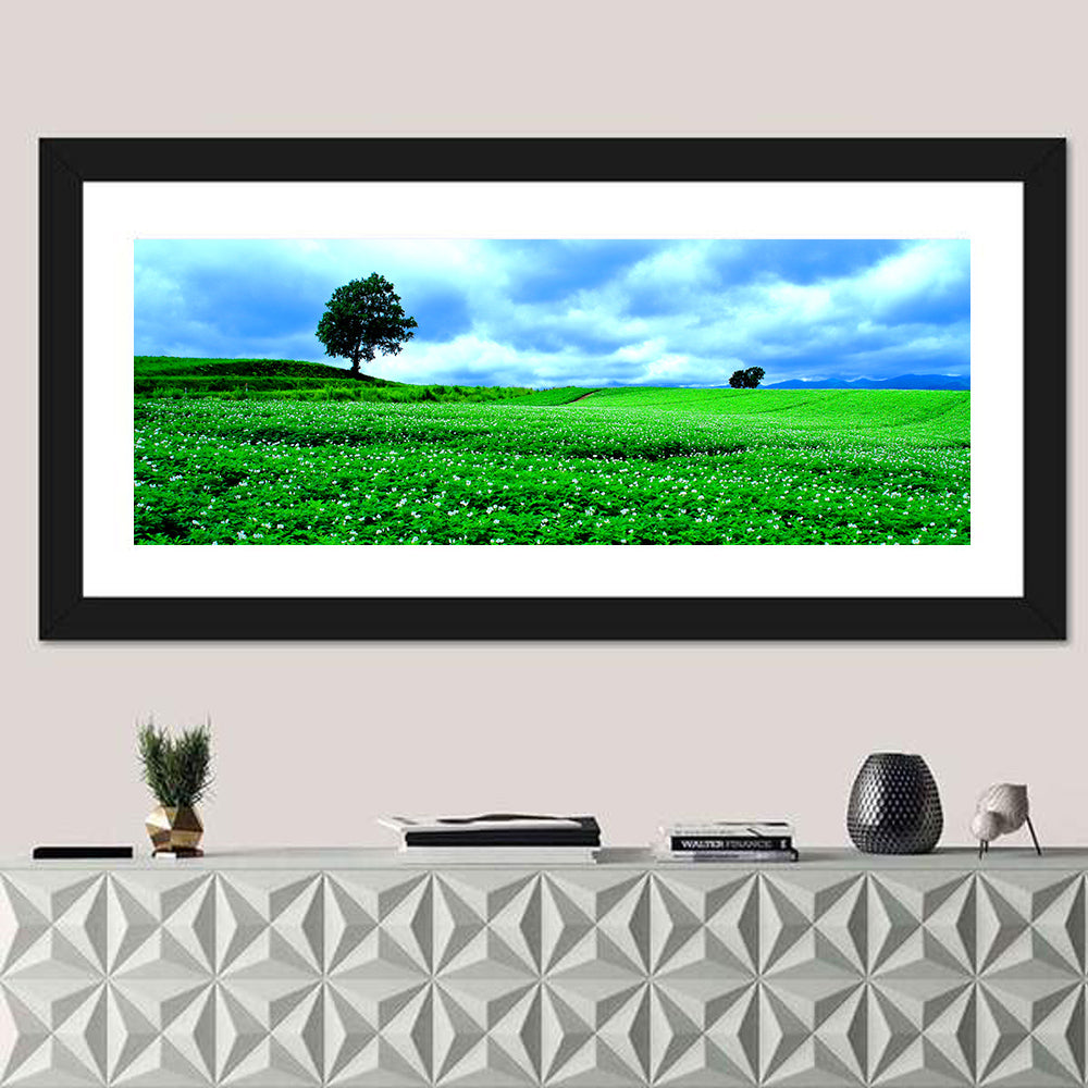 Biei Hill with Lone Tree, Hokkaido Wall Art