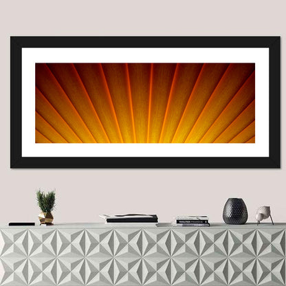 Pleated Sunburst Illustration Wall Art