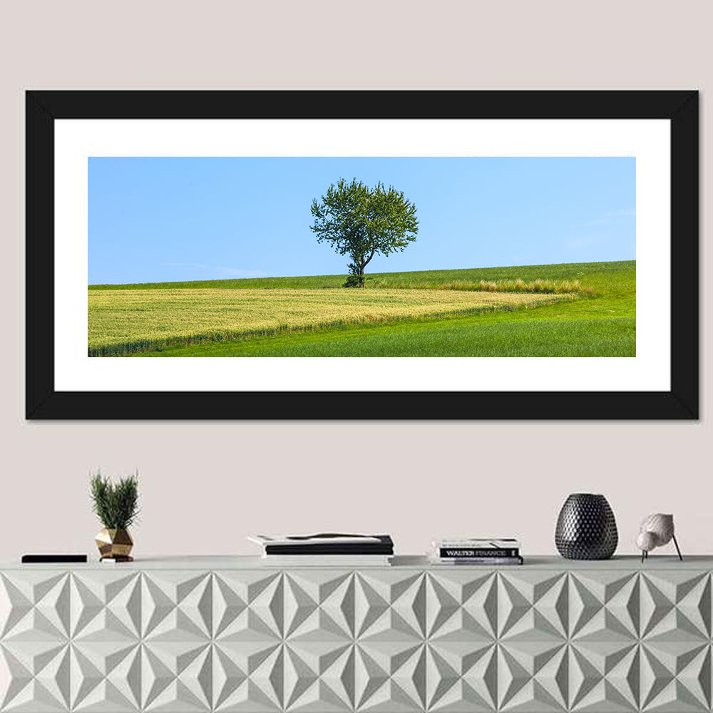 Solitary Tree on Rolling Meadow Wall Art