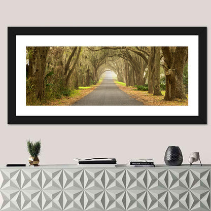Spanish Moss Country Road Wall Art