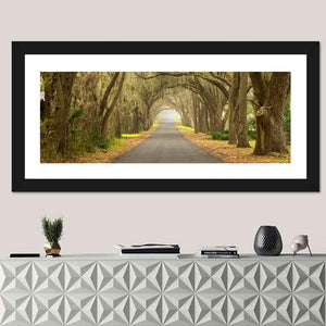 Spanish Moss Countryside Road Wall Art