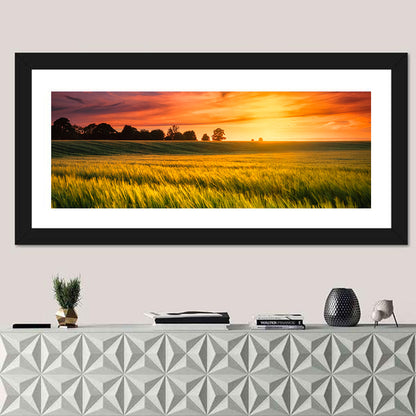 Wheat Field at Golden Hour Wall Art